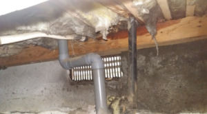 床下から飛び出ている給水管