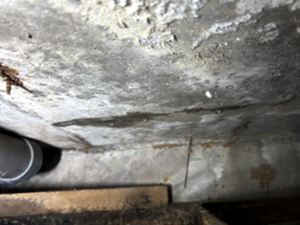 X03号室スラブから水漏れ